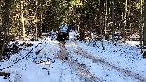 Трофи-лайф фото 4х4 покатушка Гремячий Ключ 22.02.2025 -  (15).jpg
