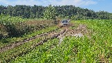 20260801_135250.jpg