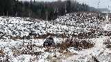 Трофи-лайф фото 4х4 покатушка Рогачевские Сокровища  08.02.2025 - (36).jpg