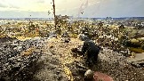 IMG_1283.jpg