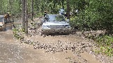 20260510_115336.jpg