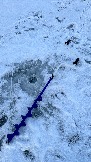 IMG_8781.jpg