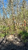 IMG_2802.JPG