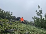 IMG_9336.jpeg