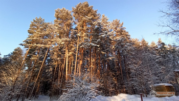 Фото Трофи-лайф 4х4 покатушка-экспедиция Ярославская Сказка 3-6.01.23 - 179.jpg