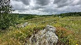 IMG_1211.jpg