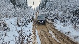 20251115_122908.jpg