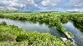 IMG_1331.jpg