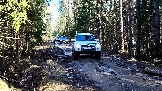 Трофи-лайф фото 4х4 покатушка Дмитровская Игрушка 08.03.2025 - (12).jpg