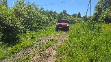 20260606_115529.jpg