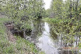 Фото Трофи-лайф 4х4 покатушка Мещерские Озёра 6-9.05.23 - 185.jpg