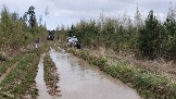 20250426_120411.jpg