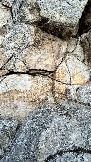 IMG_8722.jpg