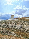 Трофи-лайф Экспедиция Казахстан Май 2024 (144).jpg