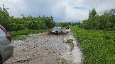 20260530_144913.jpg
