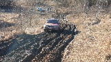 20250308_162704.jpg