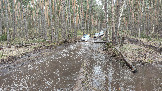 Трофи-лайф фото 4х4 покатушка Ступинский Крюк 18.04.2026 - 205.jpg