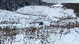 Трофи-лайф фото 4х4 покатушка Рогачёвские Сокровища 14.12.2024 - (73).png