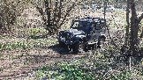 20250420_131224.jpg