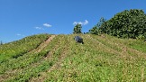 20260801_120011.jpg