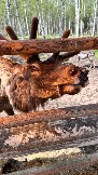IMG_2915.JPG
