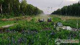 14нпон148.png