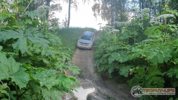 Трофи-лайф Каширское бездорожье 01.07.2020 - 72.jpg