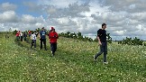 IMG_1287.jpg