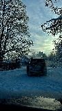 IMG_3703.JPG