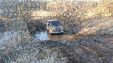 20250308_171337.jpg