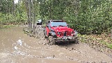 20260510_115818.jpg