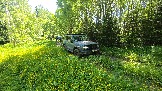 20260606_114953.jpg