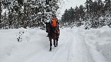 20260225_162915.jpg