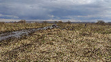 Трофи-лайф фото 4х4 покатушка Ступинский Крюк 18.04.2026 - 45.jpg