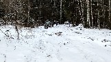 Трофи-лайф фото 4х4 покатушка Забытый Монастырь 15.02.2025 -  (6).jpg