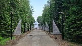 1000062305.jpg