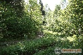13норот83.jpg