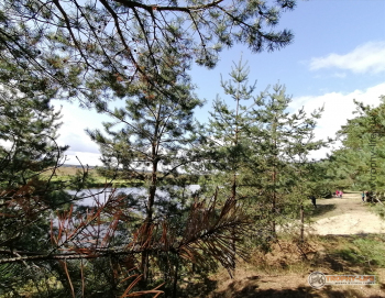 Фото Трофи-лайф 4х4 покатушка Покровский Пряник 04.09.21 - 236.jpg