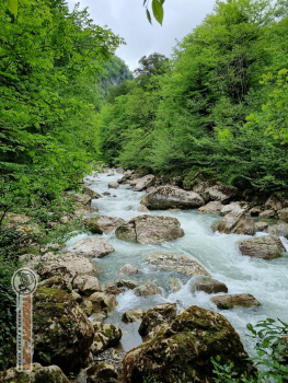 Фото Трофи-лайф 4х4 экспедиция Абхазия 2022 1-9.05.22 - 611.jpg