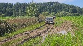 20260801_135329.jpg