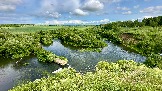 IMG_1335.jpg