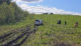 20250508_172242.jpg