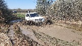 20250420_134419.jpg