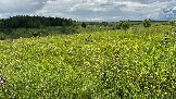IMG_1282.jpg