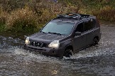 IMG_8841.jpeg