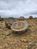 Трофи-лайф Экспедиция Казахстан Май 2024 (59).jpg