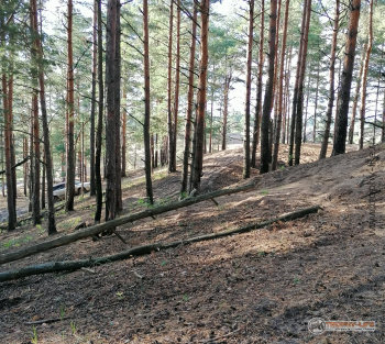 Фото Трофи-лайф 4х4 покатушка Покровский Пряник 04.09.21 - 348.jpg