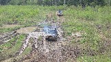 20260510_150840.jpg