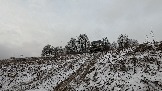 Трофи-лайф фото 4х4 покатушка Школа 4х4 16.02.2025 -  (256).jpg