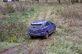 IMG_8731.jpeg